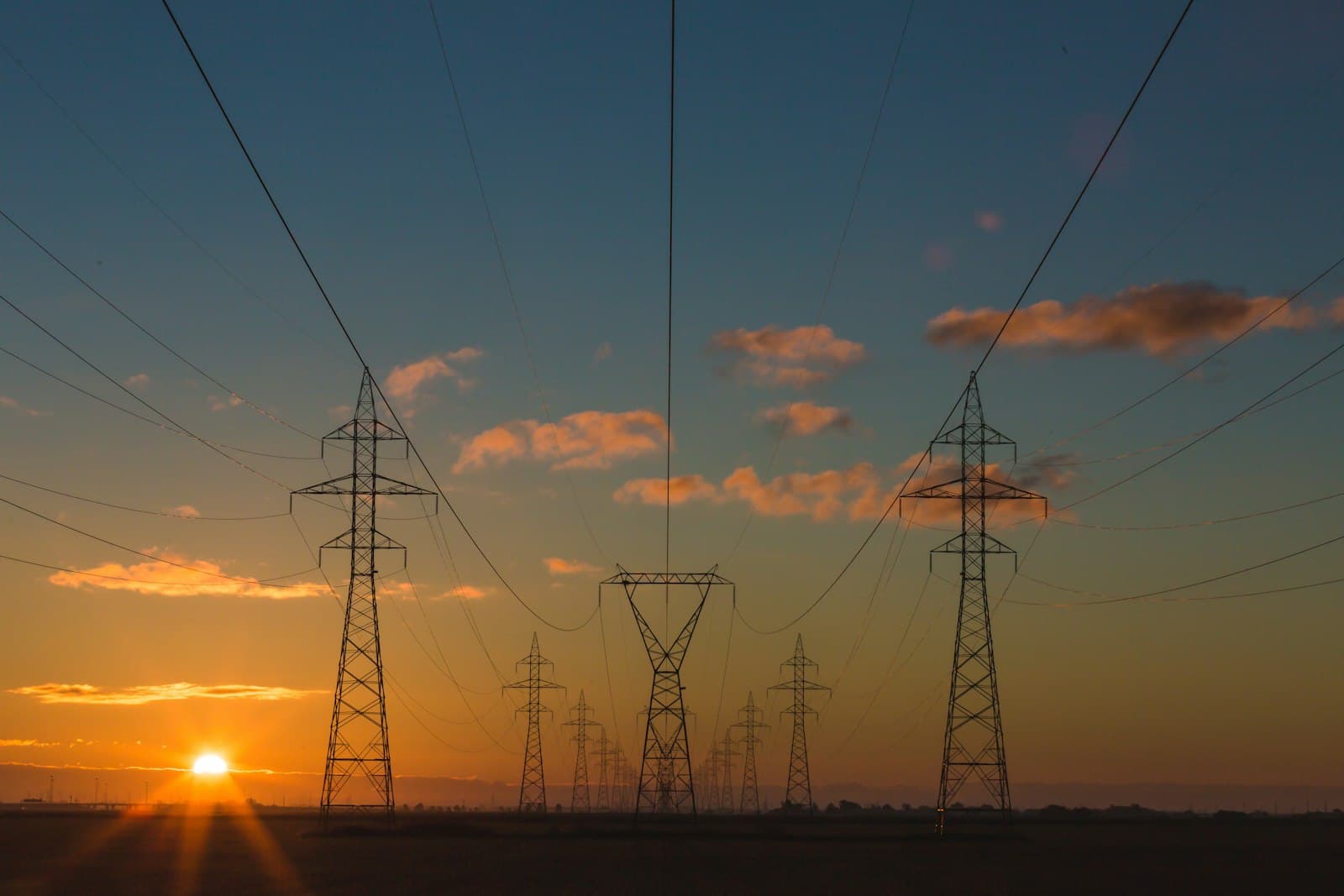 Transparent, Profitable and Sustainable Economy
